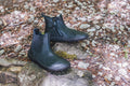 Chelys black