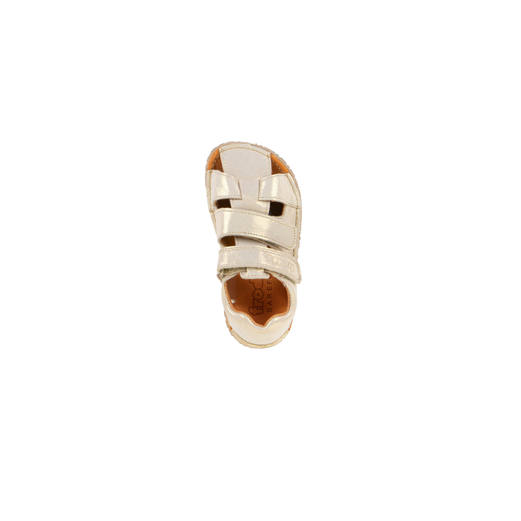 Froddo Flexy Avi Gold Shine
